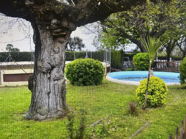 Restaurante en calle Ca n'Avellaneda, 24 - Foto 11