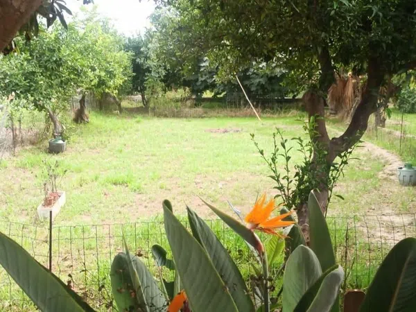 Casa independiente en carril Campillos, 1 - Foto 3