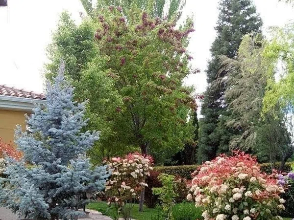 Casa independiente en Urb. campodón Barrio Campodón - Ventorro del Cano - Foto 1