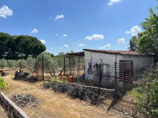 Finca rústica en Camino de Villa del Prado a Méntrida, 85 - Foto 16