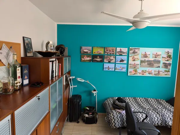 Casa o chalet independiente en Ronda Aragón y Cataluña, 438 - Foto 13