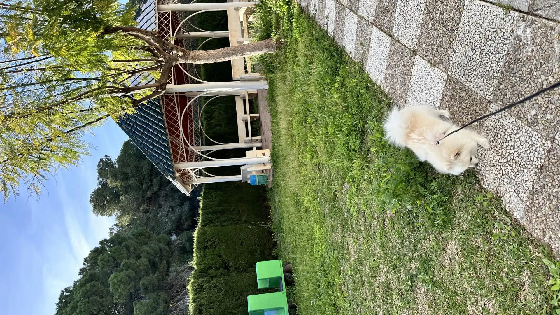 Casa adosada en  Calle e Ramos de Sierrezuela 42 - Foto 3