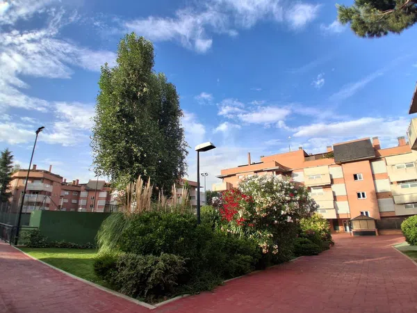 Piso en Murillo, Prado de Somosaguas - Foto 23