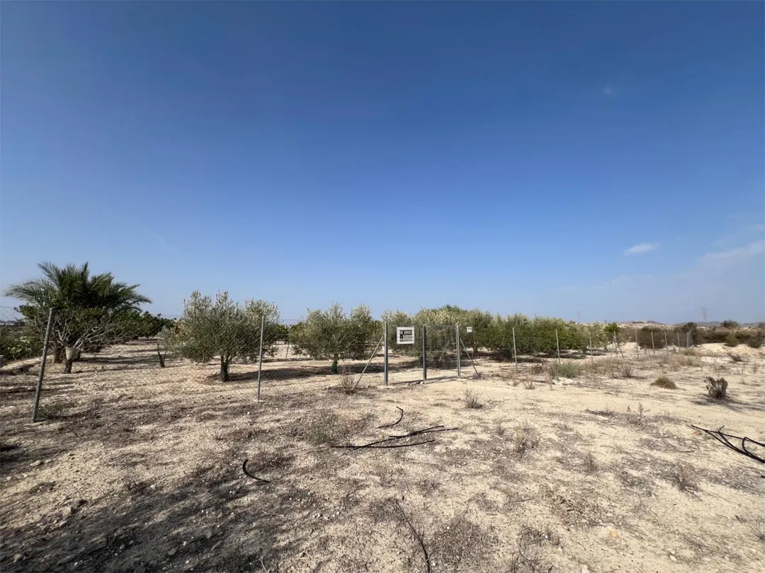 Finca rústica en  Calle Cordel de los Valencianos 2 - Foto 9