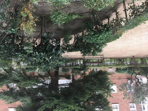 Piso en calle de Ricardo Ortiz, 33