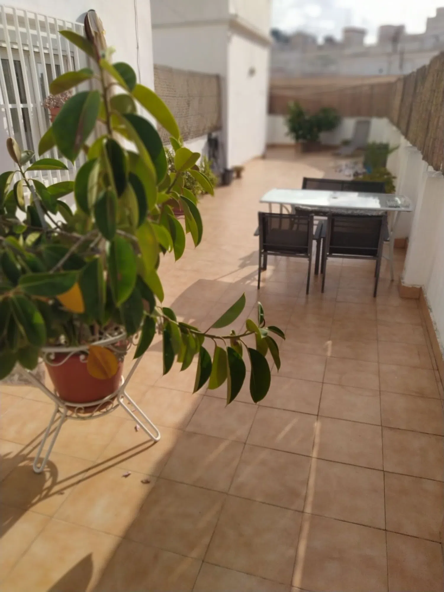 Ático en Urb. monteolivete Barrio Mont-Olivet - Foto 8