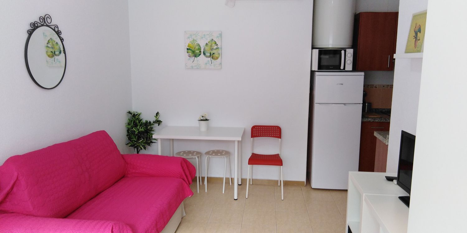 Estudio en Carrera de Capuchinos, 9, El Ejido - Foto 8