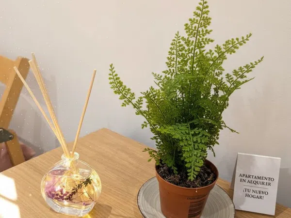 Piso en avenida de las Ciencias, 17 - Foto 16