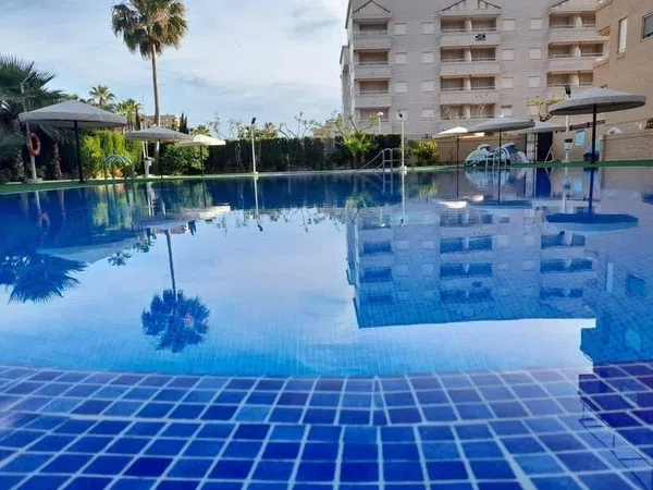 Piso en Avenida Central, 14, Marina Trebol - Neptuno - Foto 2