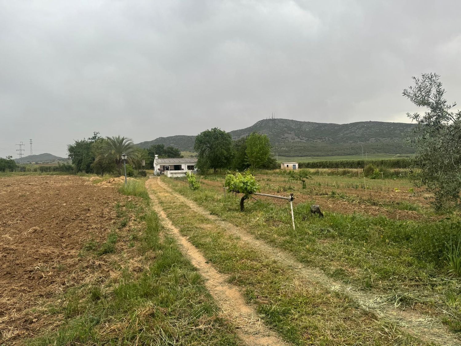 Finca rústica en Finca Pago de los López s/n, Centro - Argentina, Centro - Argentina - Foto 11