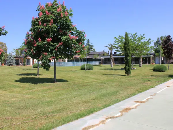 Casa o chalet independiente en Camino Viejo de Logroño, 53 - Foto 13