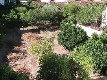 Finca rústica en  Calle Parradas 13 - Foto 40