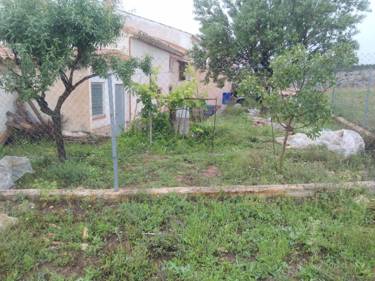 Finca rústica en Unnamed Road s/n - Foto 2