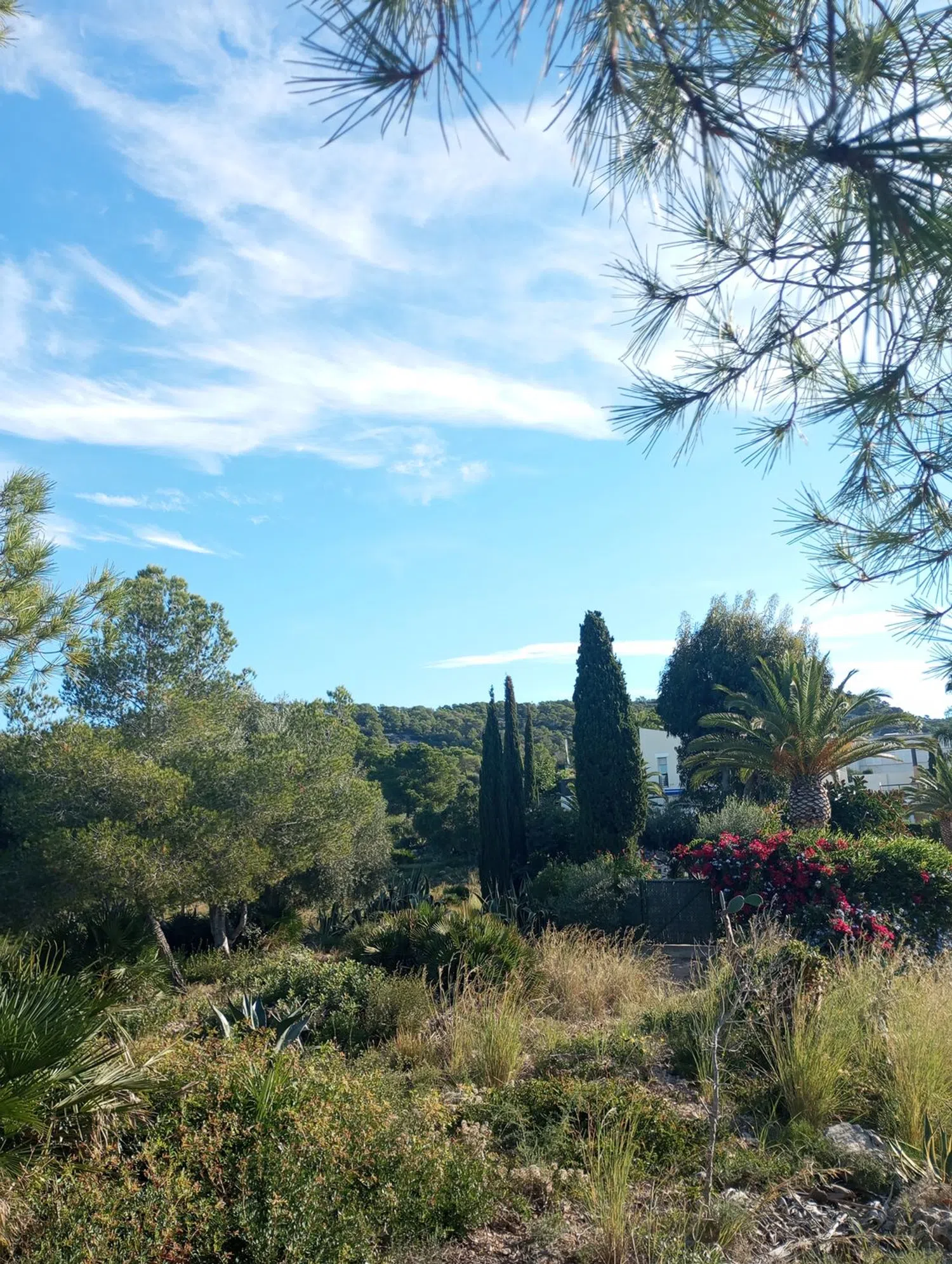 Estudio en avenida Sardana l'Empordà, 31 - Foto 2