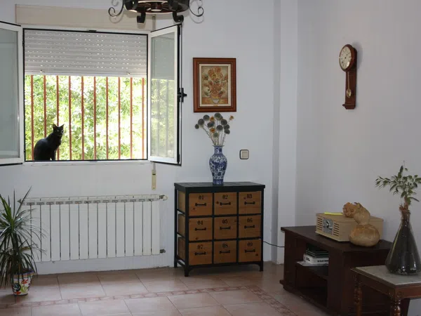 Casa o chalet independiente en Avenida de la Virreina, 9 - Foto 16