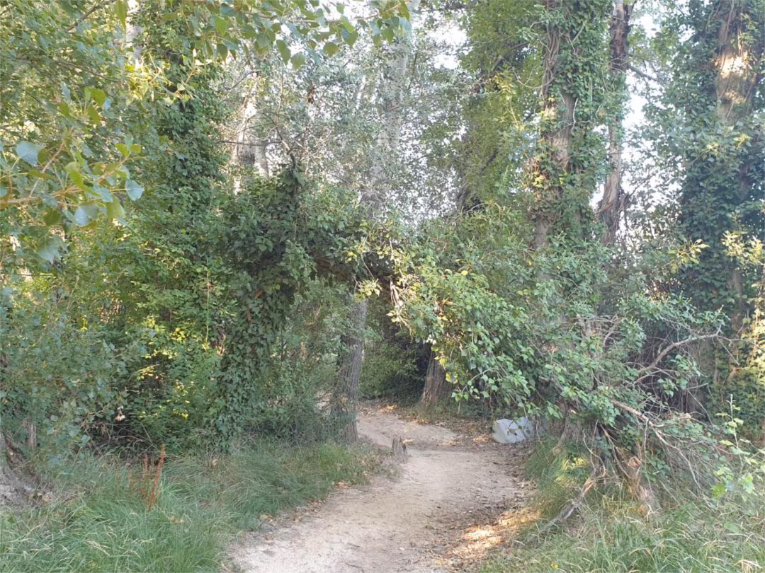 Chalet en  Calle de Serrano 200 - Foto 20