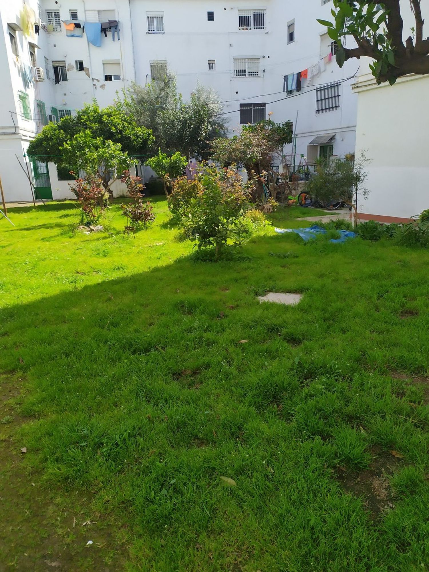 Piso en plaza Pío XII, 1 - Foto 39