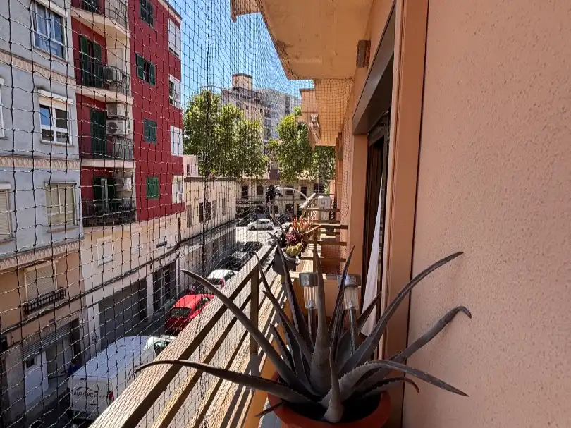 Piso en  Carrer de Sureda 7 - Foto 16