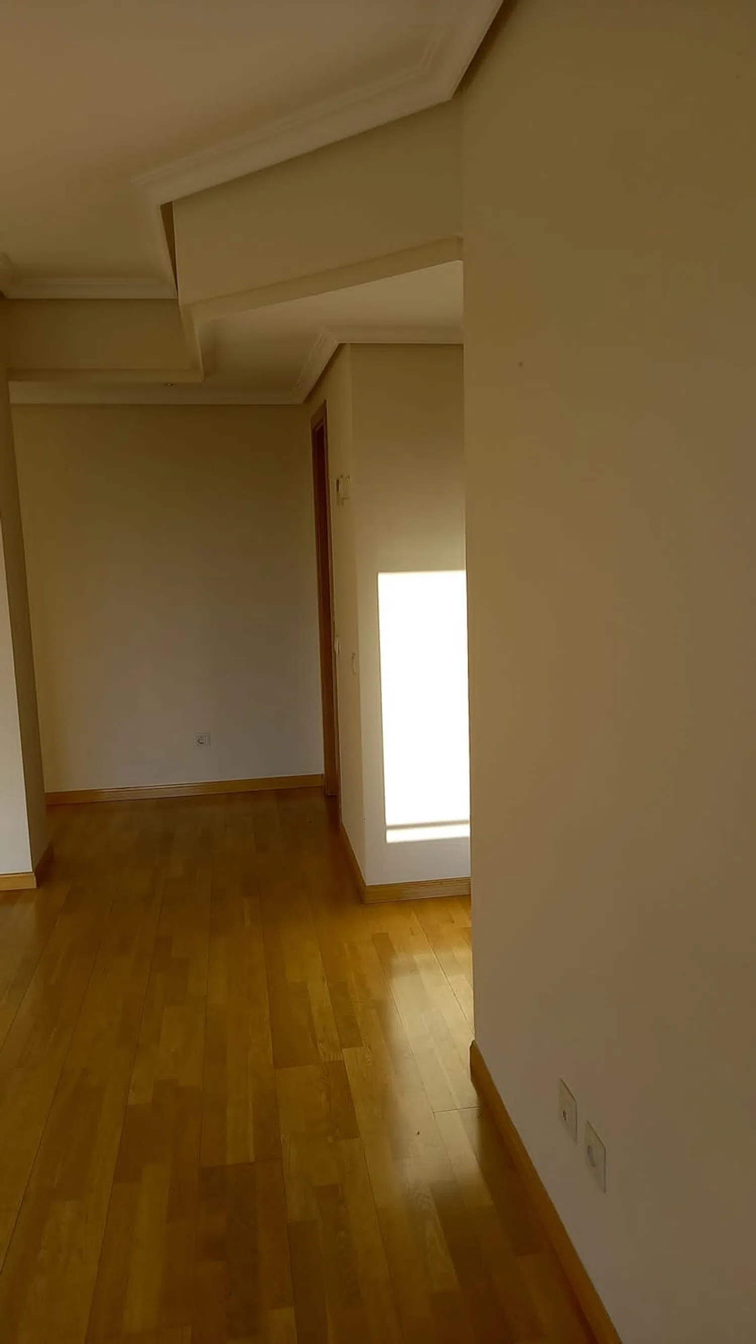 Piso en paseo de Juan Antonio Vallejo-Nájera Botas, 25 - Foto 4