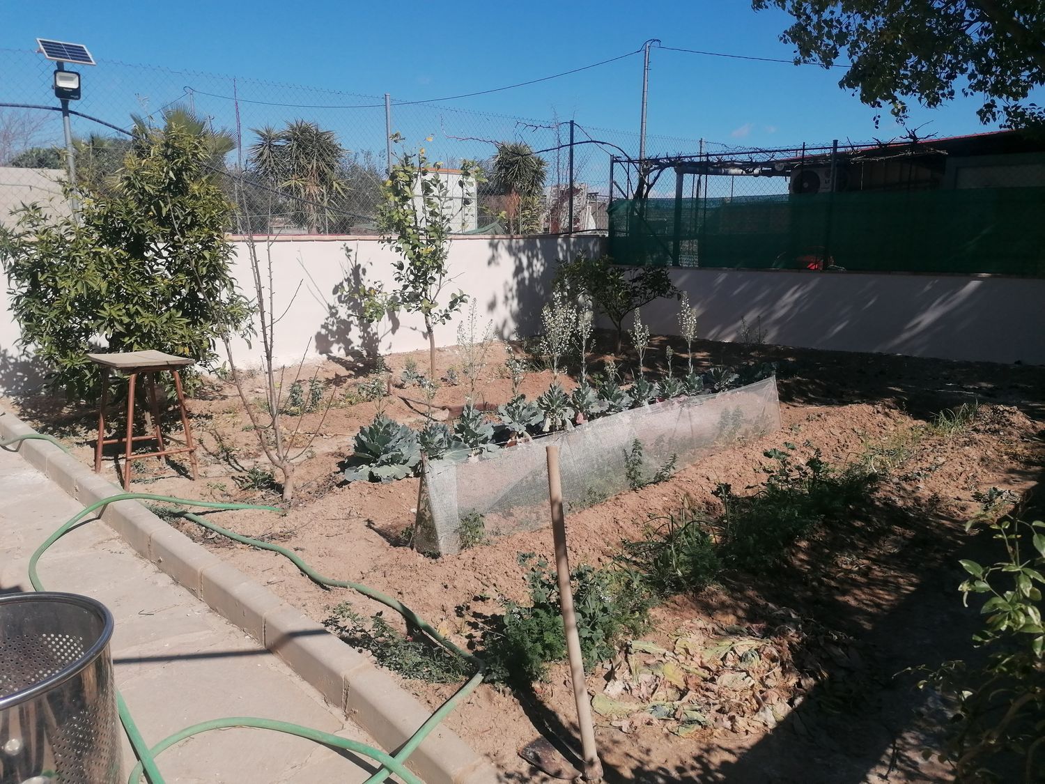 Casa o chalet independiente en Vereda Diseminado Camino, 8, Sangonera la Seca - Foto 5