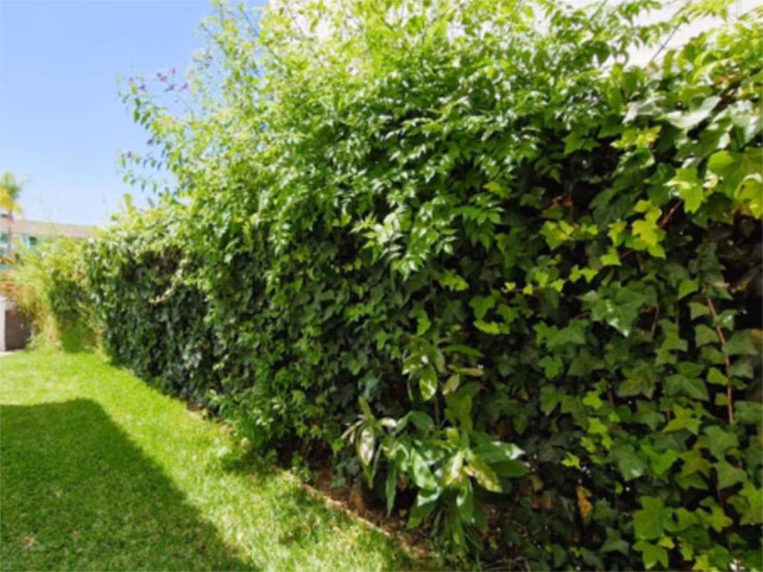 Chalet en  Urbanizacion Villa Parra Palomeras 112 - Foto 8