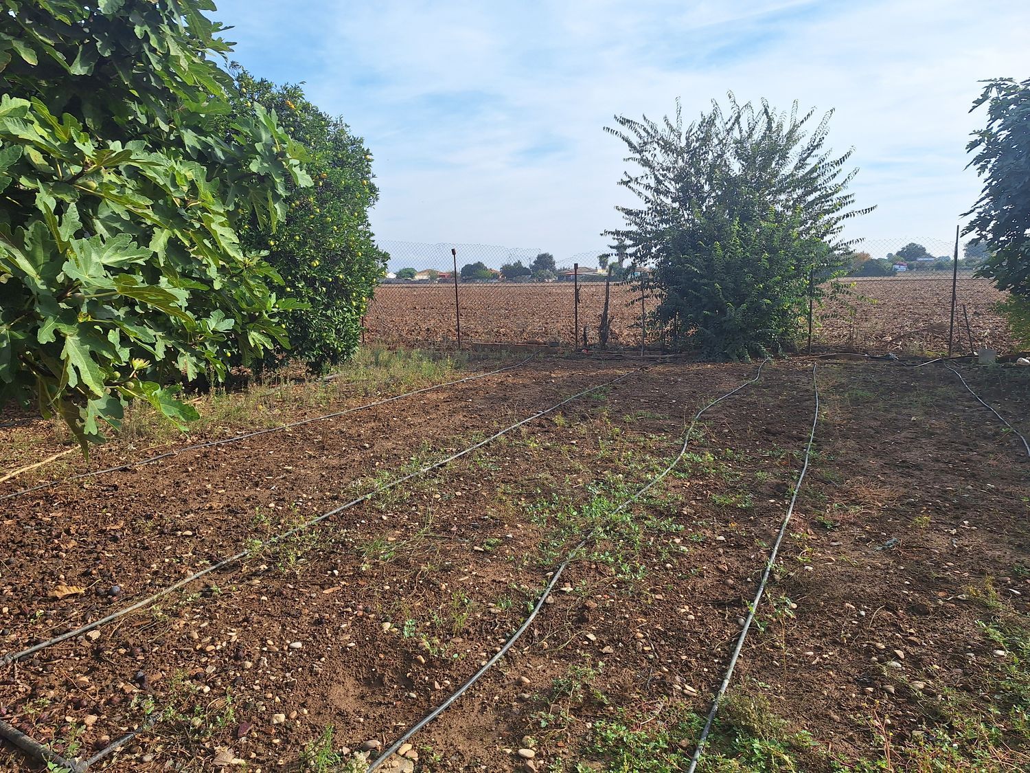 Finca rústica en Cortijo el Rubio, 12 - Foto 4