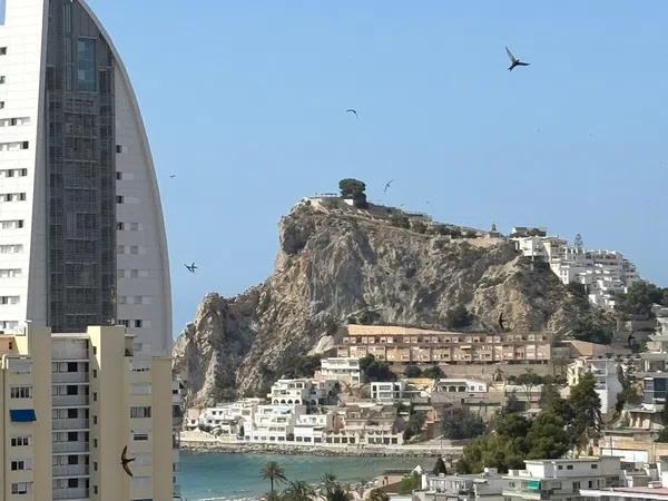 Piso en Avenida Marina Alta, 2, Playa de Poniente, Playa de Poniente - Foto 8