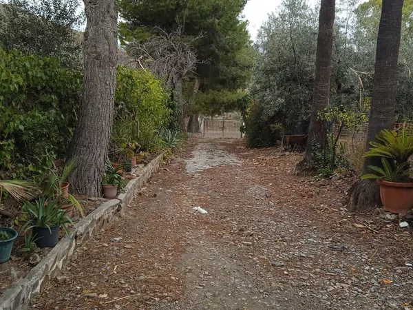 Finca rústica en Calle Sócrates, 56 - Foto 18