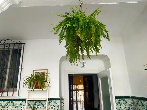 Casa independiente en calle Montaño, 10 - Foto 8