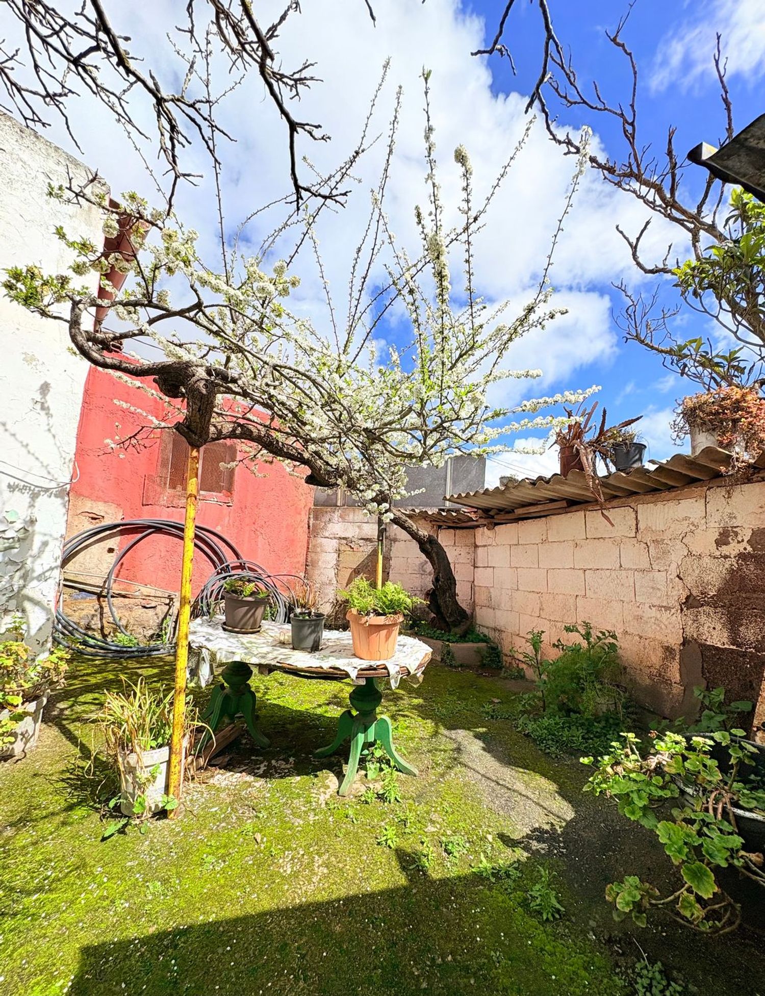 Casa independiente en calle Doctor Caldera, 25 - Foto 13