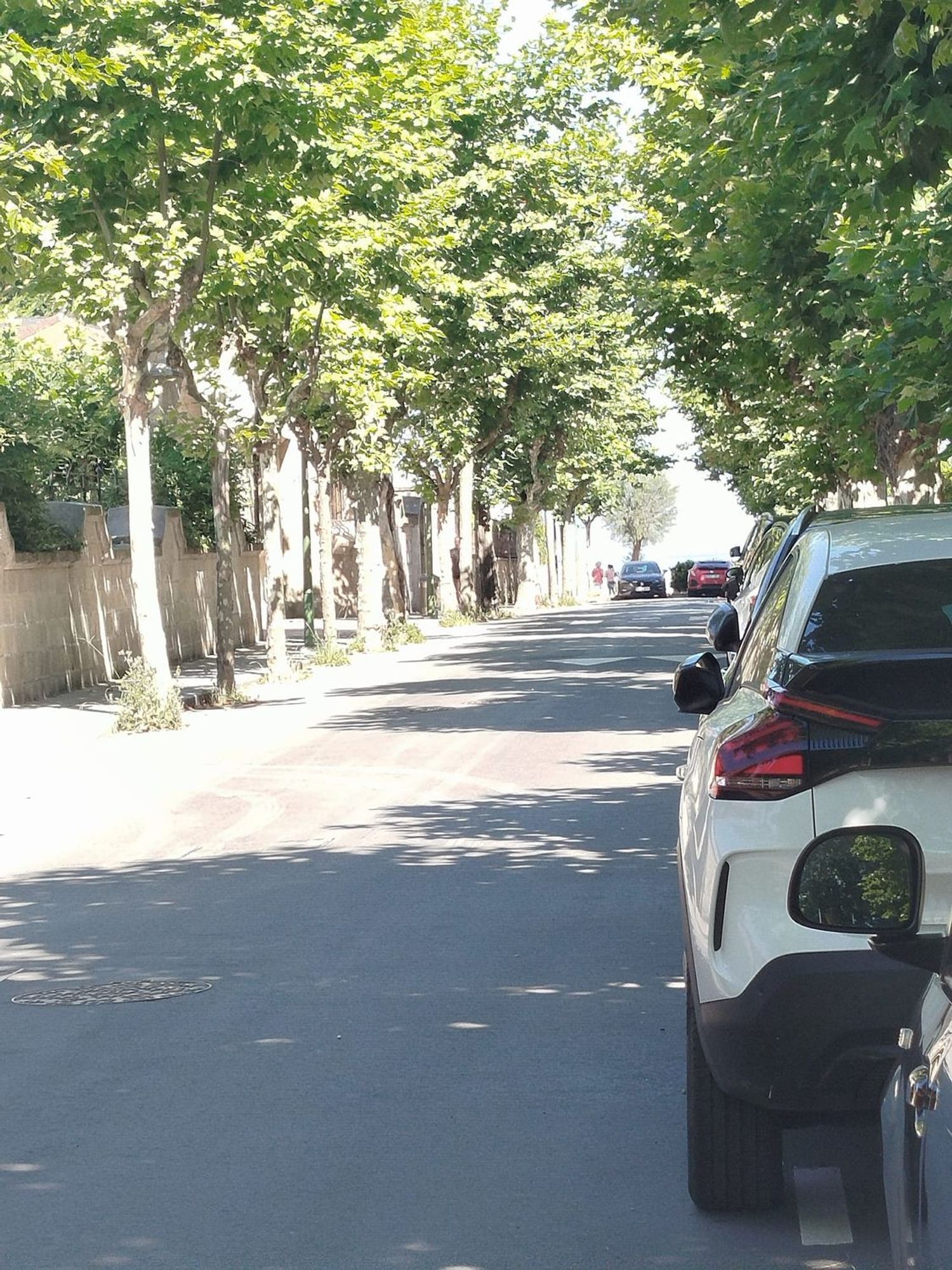 Piso en Calle Atxekolandeta, 12, Neguri, Neguri - Foto 4