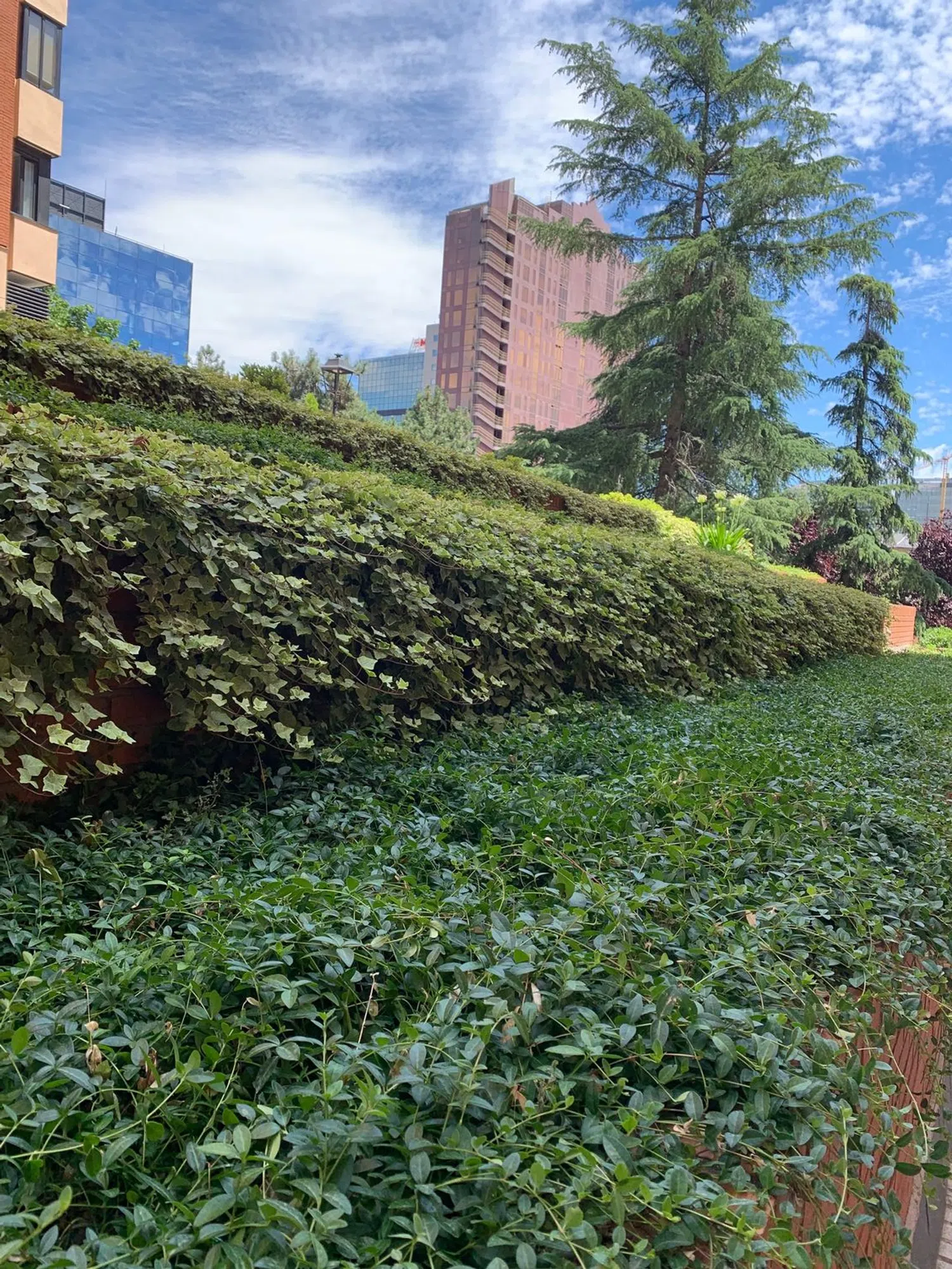 Piso - Foto 5
