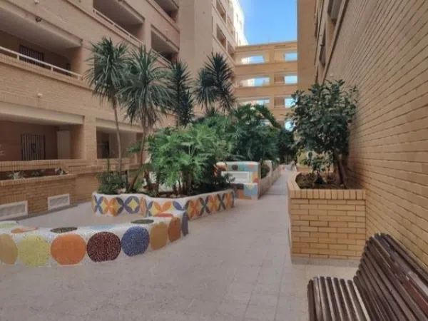 Piso en Avenida Central, 14, Marina Trebol - Neptuno - Foto 11