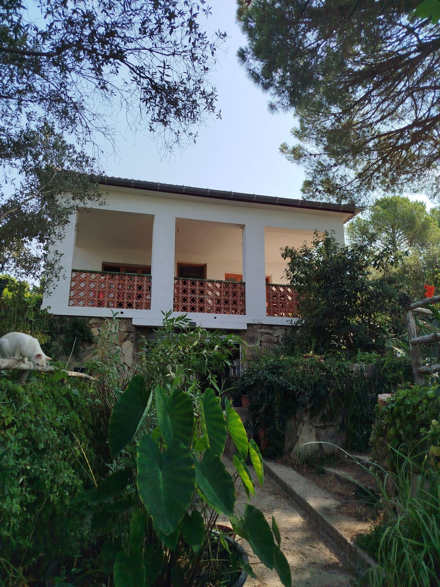 Casa o chalet independiente en Plaza de la Vila, 1, Casc Antic, Casc Antic - Foto 2