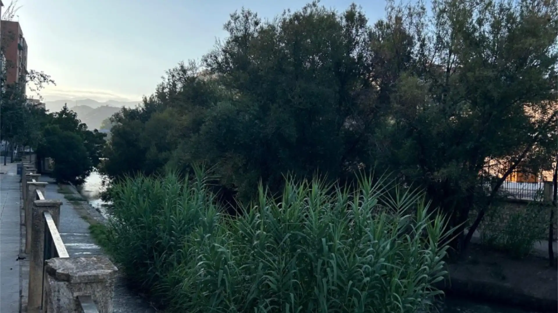 Piso en  Calle el Trevenque 30 - Foto 26