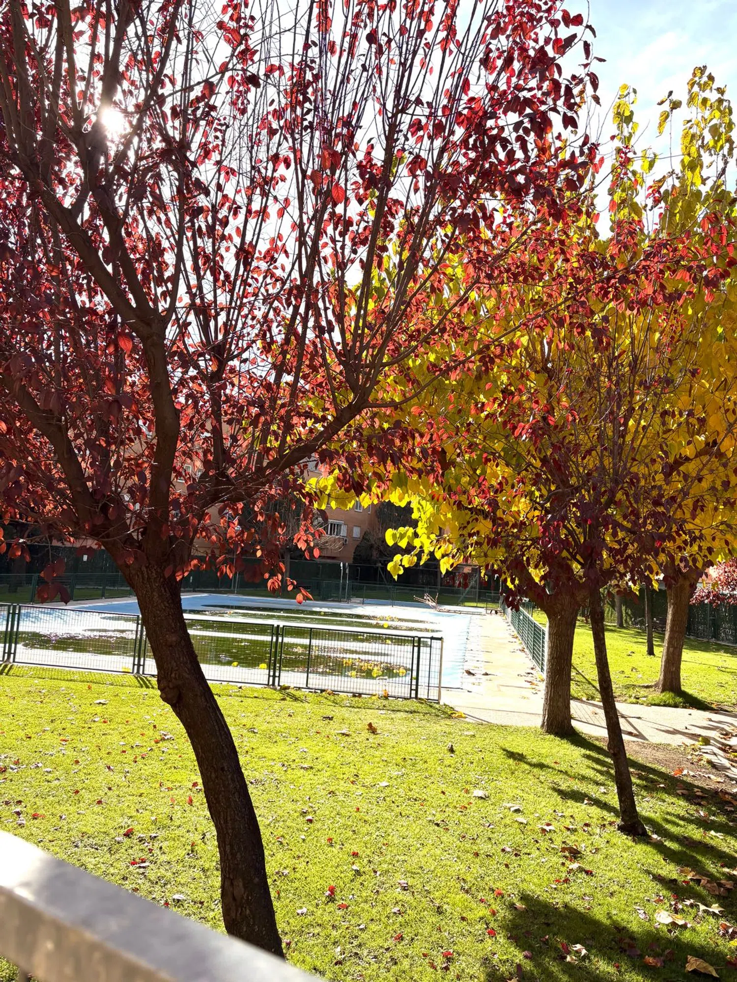 Piso en Sureste - Foto 19