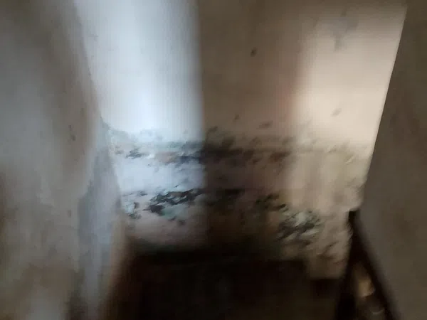 Casa de pueblo en Aldea Omeu s/n - Foto 7
