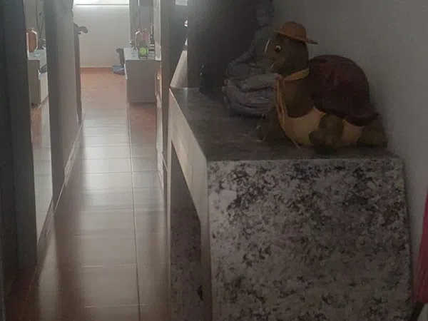 Dúplex en avenida Aguila coronada, 3 - Foto 5