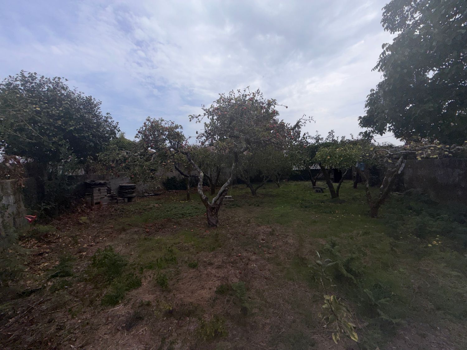 Casa de pueblo en Carretera Amiudal, 47 - Foto 2