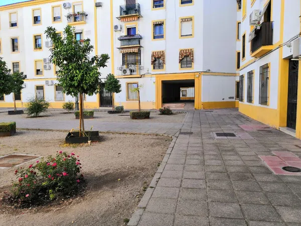 Piso en Plaza Félix Rodríguez de la Fuente, 6 - Foto 10