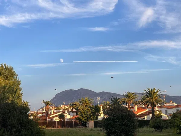 Piso en Calle Òliba, 9, El Palmar-Los Molinos - Foto 18