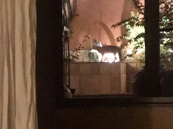 Estudio en calle del Ter, 31 - Foto 14