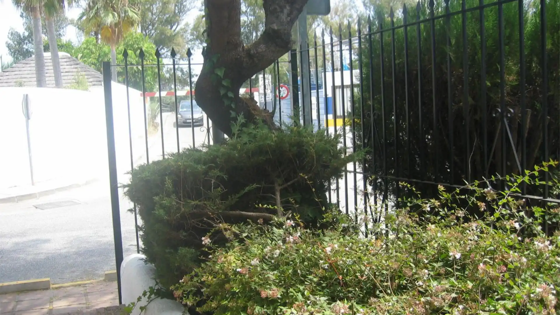 Piso en  Avenida de los Andaluces 40 - Foto 1