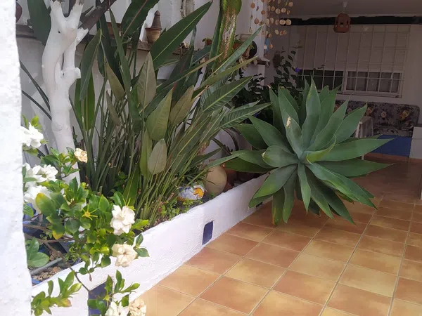 Chalet adosado en Avenida Conquistadores, 164 - Foto 17