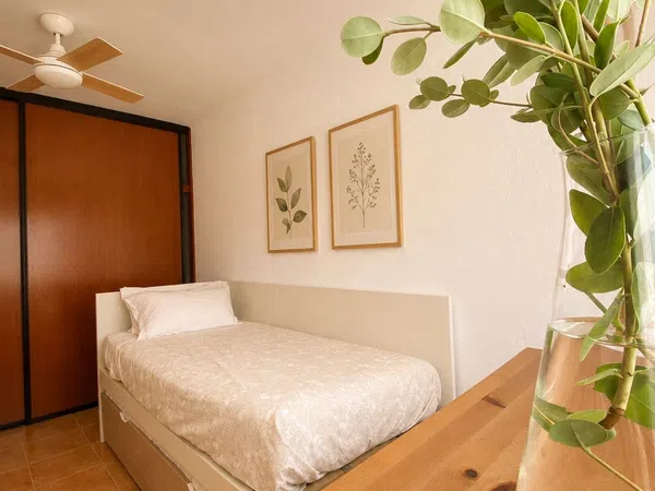 Chalet adosado en Calle Asunción, 71, La Barrosa, La Barrosa - Foto 12