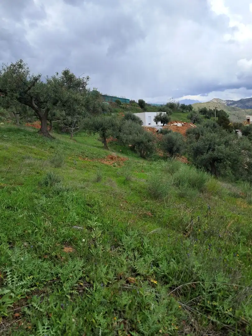 Finca rústica en  Diseminado el Cerval Pol 15 34B - Foto 13