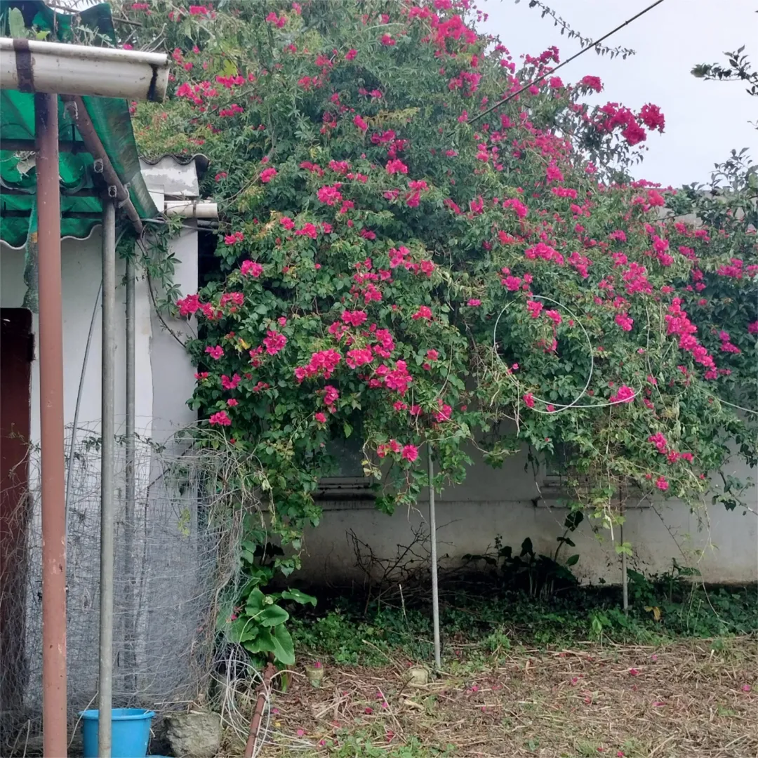 Chalet en  Rúa Revolta 18 - Foto 7