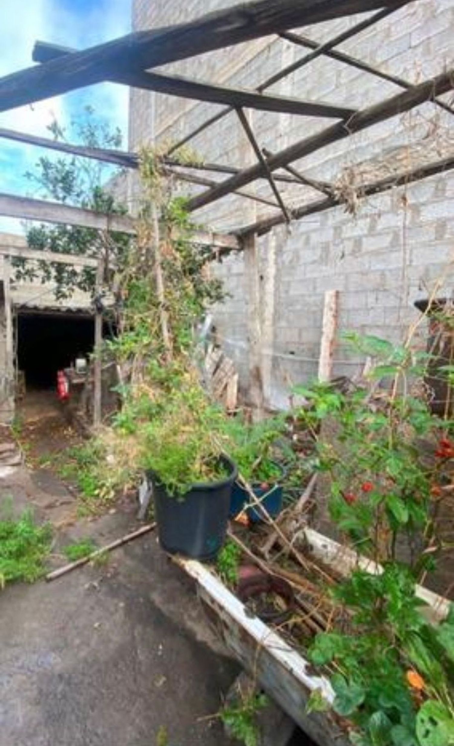 Casa independiente en calle Sinaí, 42 - Foto 4