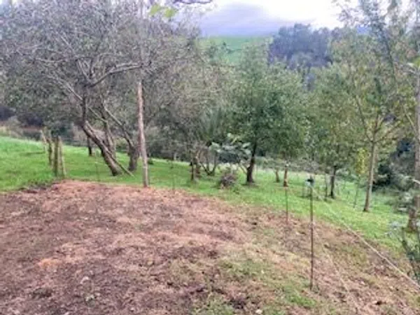 Casa de pueblo en Poligono 98 Parcela, 338 - Foto 11