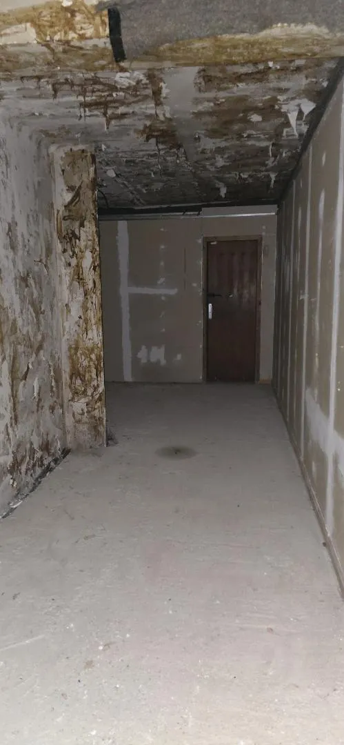 Planta baja en  Passatge dels Garrofers 6 - Foto 13